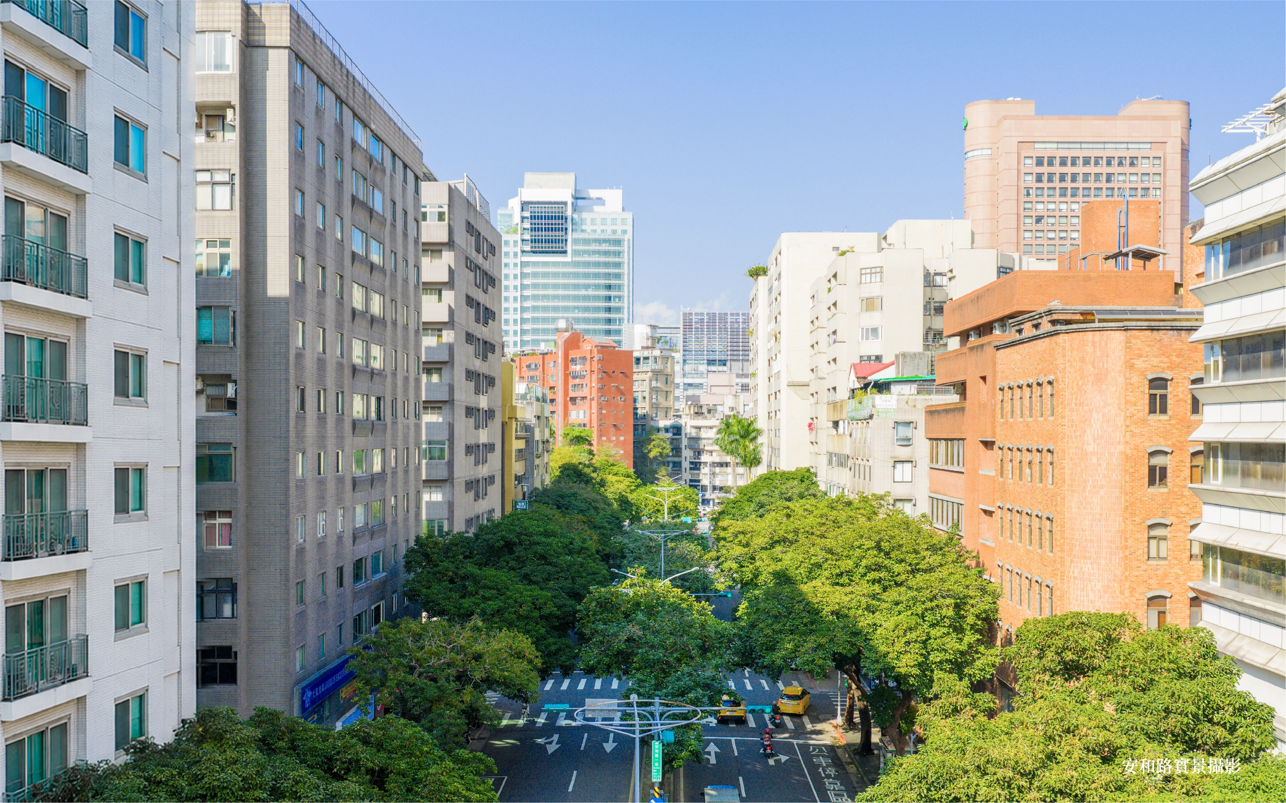 從安翊居周邊眺望安和路一段林蔭大道